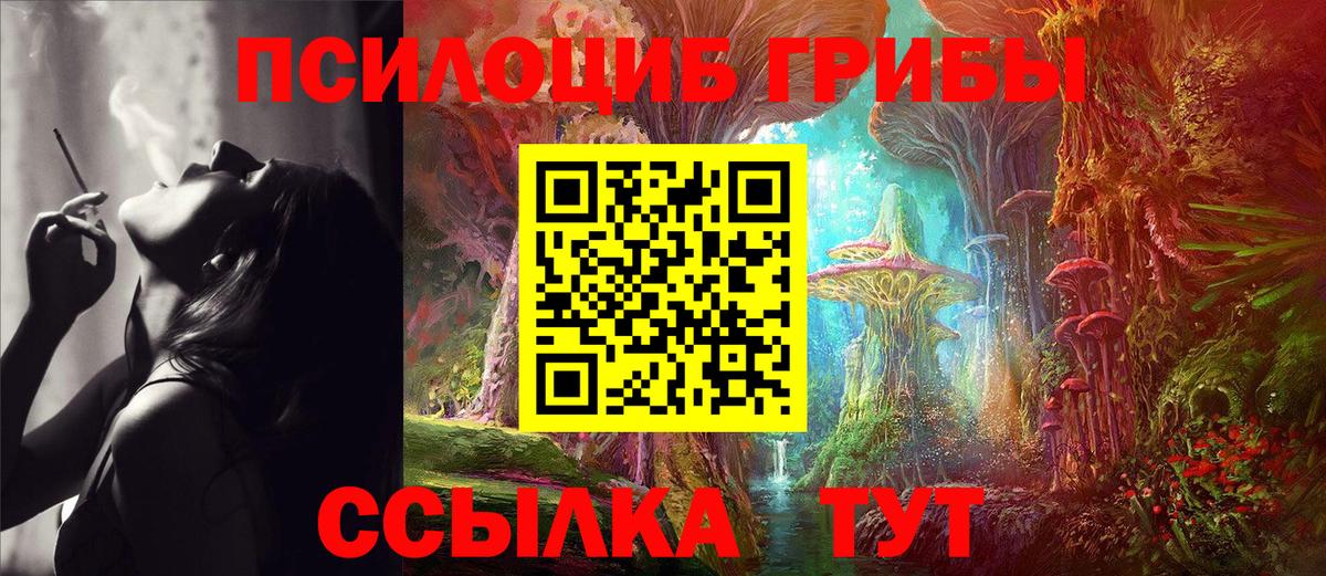 Галлюциногенные грибы Psilocybine cubensis  Галлюциногенные грибы GOLDEN TEACHER  Вход с VPN  Кубинка 