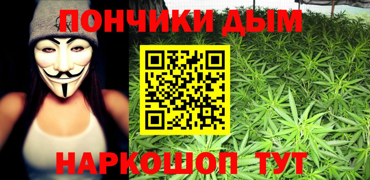 Каннабис сатива Кубинка